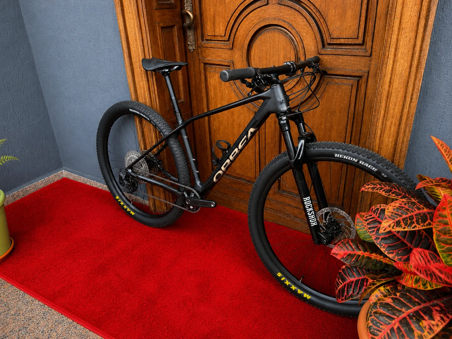Photo 3 de ORBEA CARBONE 29 NEUF